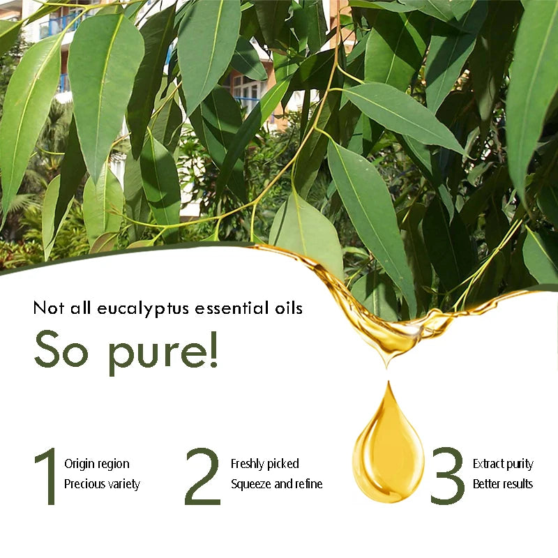 Pure Eucalyptus Essential Oil (100% Undiluted) - 10ml