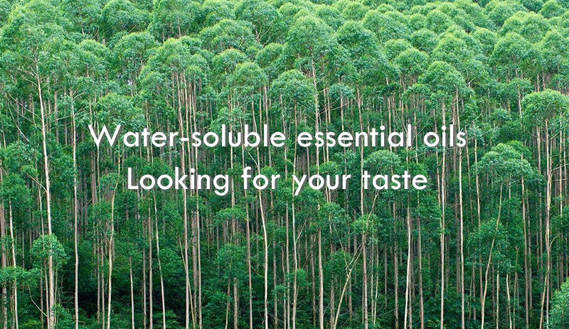 Pure Eucalyptus Essential Oil (100% Undiluted) - 10ml
