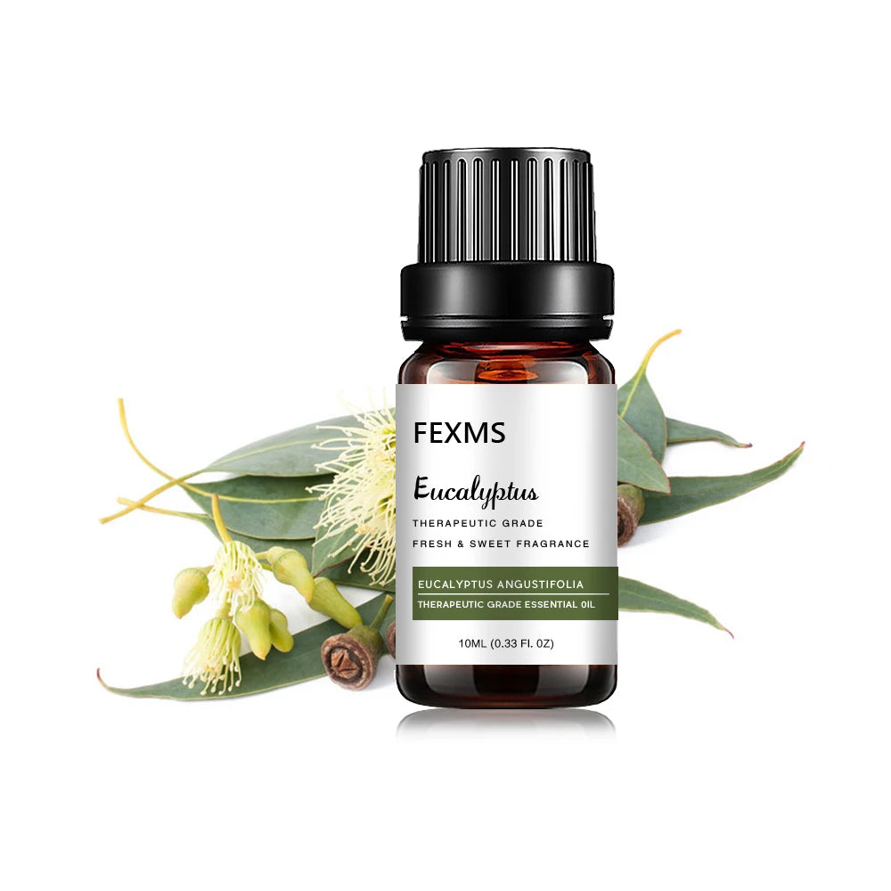 Pure Eucalyptus Essential Oil (100% Undiluted) - 10ml